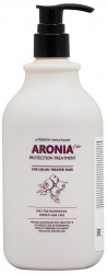 Pedison Маска для волос Aronia Color 500мл